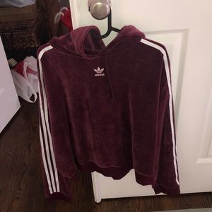 adidas velvet cropped hoodie